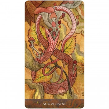 Blood Moon Tarot kortos US Games Systems